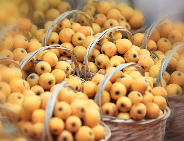 2016重庆周边摘枇杷的地方全在这里啦!