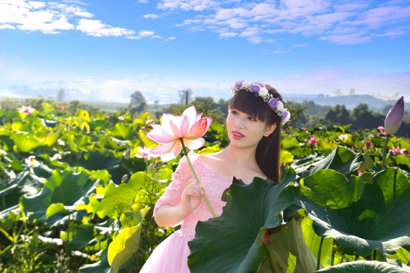 北碚歇马百亩荷花绽放 快来赏荷塘美景