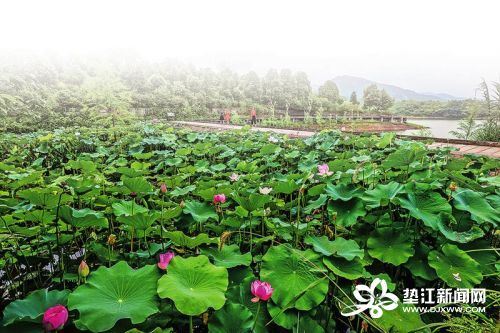 垫江迎风湖国家湿地公园