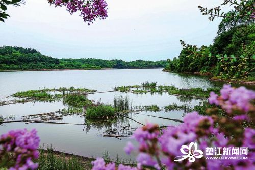 垫江迎风湖国家湿地公园