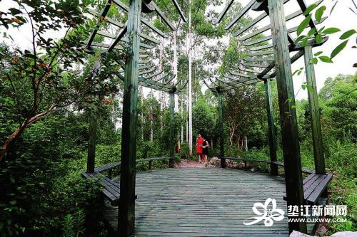 垫江迎风湖国家湿地公园