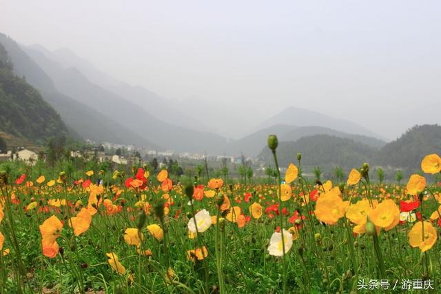 喜迎教师节！ 教师游这些景区统统不要钱