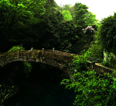 苍绿的古桥，绿油油的苍劲古松，让人感叹大自然的造化