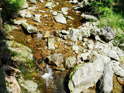 宁静的小溪，杂乱的石块，勾勒出一幅美丽的画卷，让人心情平静